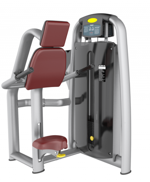 Các dụng cụ tập gym phổ biến trong phòng tập của Việt Nam 4 screenshot 9
