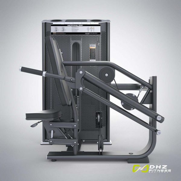 Máy tập tay sau DHZ E7026A 3 May tap tay sau dhz E7026A 2