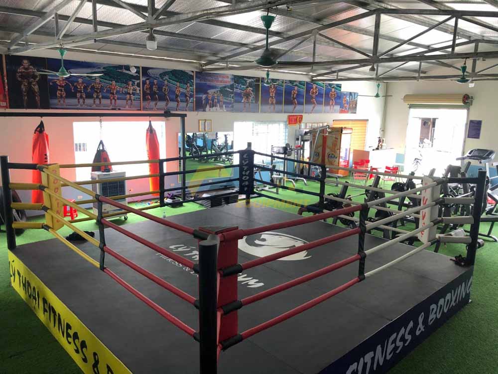 Đài Boxing 12 đài boxing
